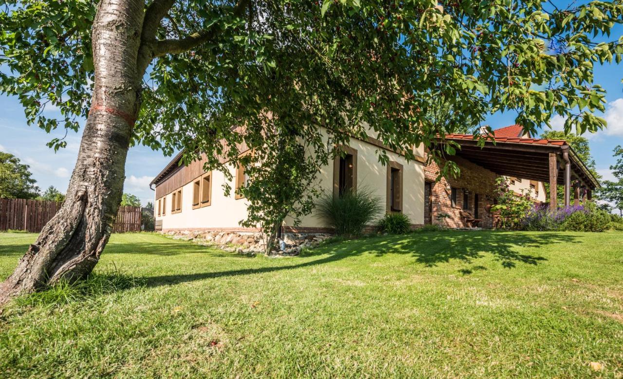 Penzion U Lisky Jarosov nad Nezarkou Exterior foto